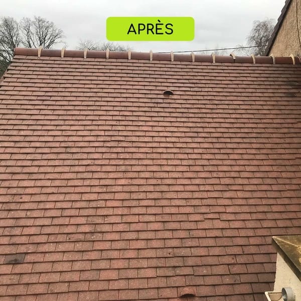 Après — Démoussage de toiture
