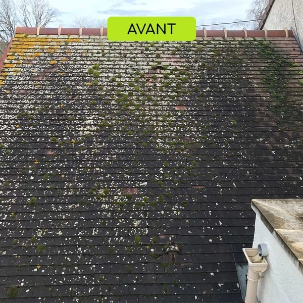 Avant — Traitement hydrofuge